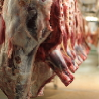 Cuts of meat hanging up